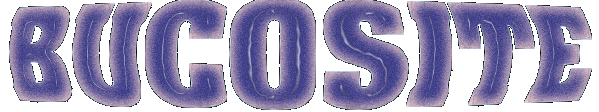 2.bmp (201654 byte)